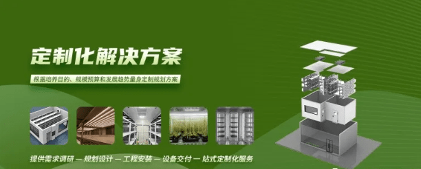 智能人工氣候室——打造最佳生長(zhǎng)環(huán)境，助推農(nóng)業(yè)研究新高度